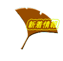 新着情報
