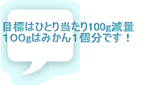 �ڕW�� �ЂƂ蓖����100g����  