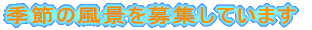 �G�߂̕��i���W���Ă��܂�